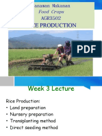 AGR3502 Rice Production: Food Crops