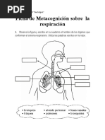 Ficha de Metacognición Sobre La Respiración