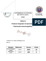 Polarización Electromagnética