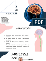 Sistema Nervioso Central: Integrantes