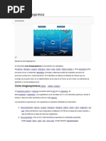 Ciclo Biogeoquímico