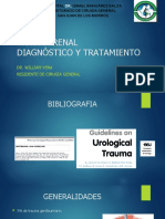 Traumatismo Renal