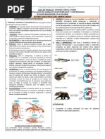 Trabajo de Biologia Junio 24