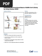 Structural and Functional Basis of Sars-Cov-2 Entry by Using Human Ace2