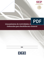 Lineamientos de Las Actividades Artisticas y Culturales PDF