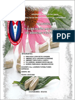 Informe Nº1-Valoracion Microscopica de Drogas Pulverizadas