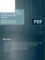 Epidemiology, Treatment & Control of Mastitis Caused by Contagious, Environmental, Skin Flora and Opportunistic Pathogens, Mastitis Management in Economic Framework