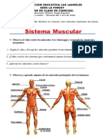 Ciencias 1 Al 5 de Junio PDF