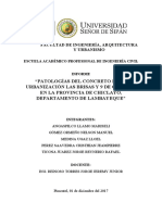 Informe Final Patologías Del Concreto