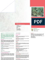 Brochure Cancer Bush PDF