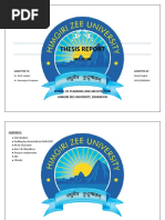 Thesis Report: Isbt, Noida