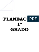 Primer Grado