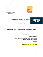 Prevencion de Lesiones en MMA (Revision)