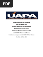 Trabajo Final Terapia de Aprendizaje