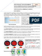 Transporte de Agua en La Membrana Plasmatica