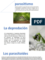 Entomología, INSECTO