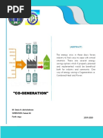 Report About COGENERATION - Dania Haitham.1