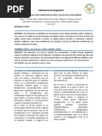 Informe 3 Bioquimica