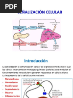 04A Señalizacion Intracelular