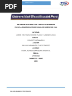 Ronal Saavedra Sandoval - Losas Sin Vigas, Con Vigas, Placas y Planas