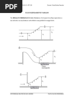 Flujo Rapidamente Variado