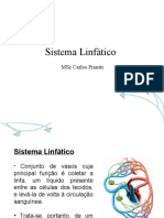 Sistema Linfático