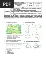 Talleres-De-Recuperacion-Grado-Cuarto PRIMER PERIODO