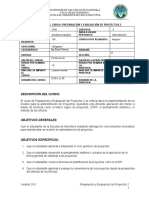 Programa Preparacion y Evaluacion de Proyectos 2