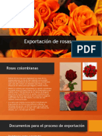 Exportación de Rosas