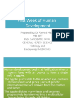 First Week of Human Development