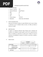 Informe de Hábitos de Estudio - Sin Nombre