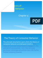 Theory of Consumer Behavior