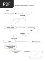 Diagrama de Flujo