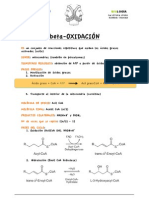 Beta Oxidación FICHA DE APRENDIZAJE