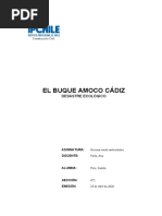 Desastre Del Buque Amoco Cadiz