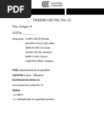 Trabajo Nro 25 PDF