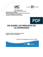 PNI Principios de La Supervisión