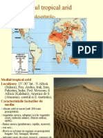 Referat Geografie-Mediu Tropical Arid