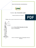 Tarea Tratados