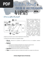 Replicación Viral y Ciclos de Multiplicación de Los Virus PDF