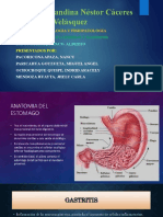 Sindrome Ulcerosos y Gastritis