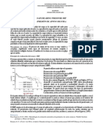 Safe Bearing Pressure SBP