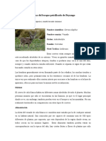 Fauna Del Bosque Petrificado de Puyango