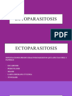 Ectoparasitosis