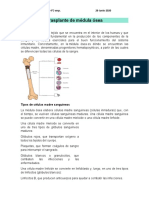 Trasplante de Médula Ósea