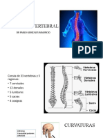 REGION CERVICAL - Copia 1