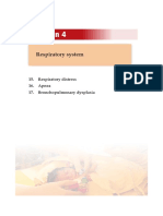 Respiratory System - 2019