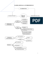 1.B. Patrimoniul Schema Completa