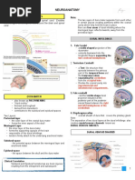 Neuroanatomy PDF