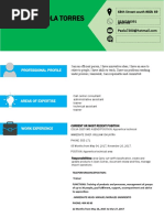 Curriculum - Vitae - Formato DFI